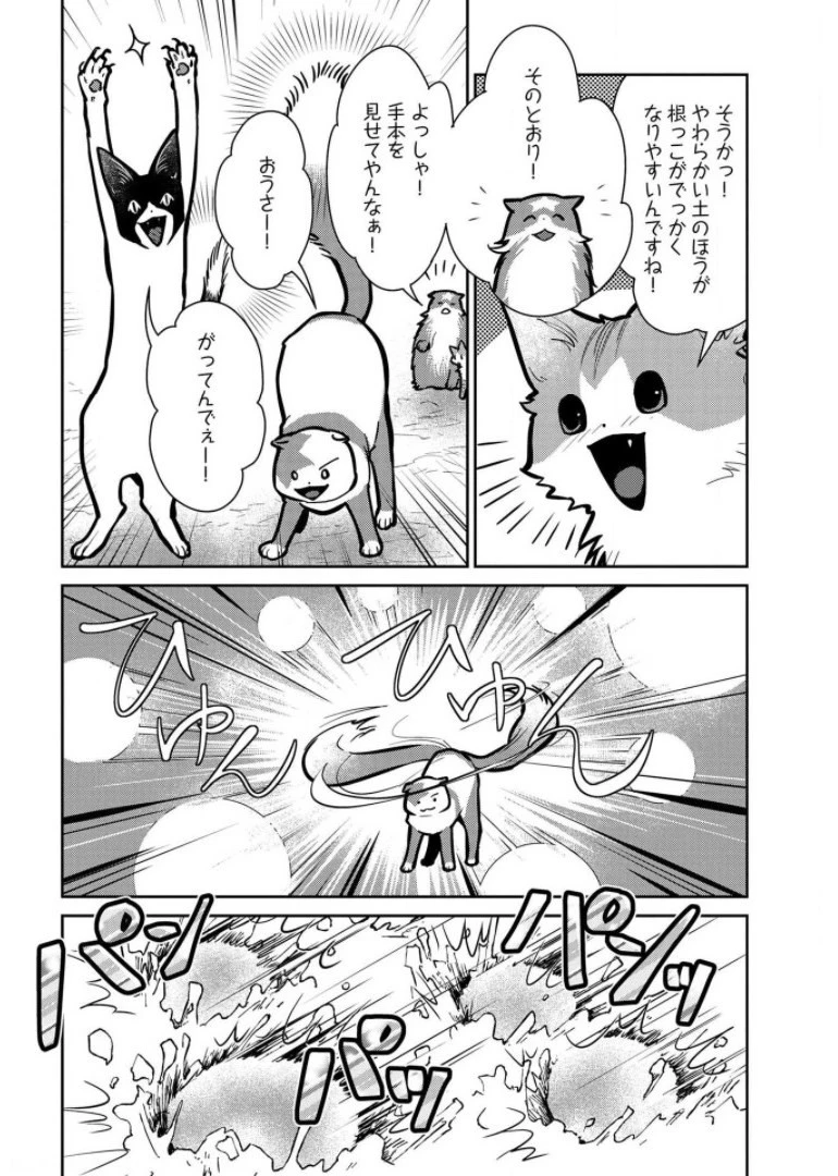 猫と竜 第9話 - 12