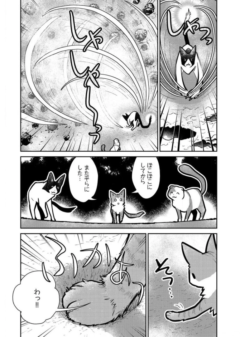 猫と竜 第9話 - 13