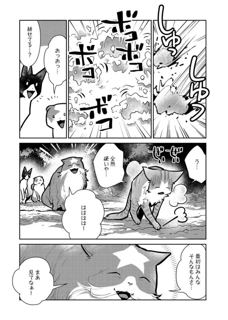 猫と竜 第9話 - 15