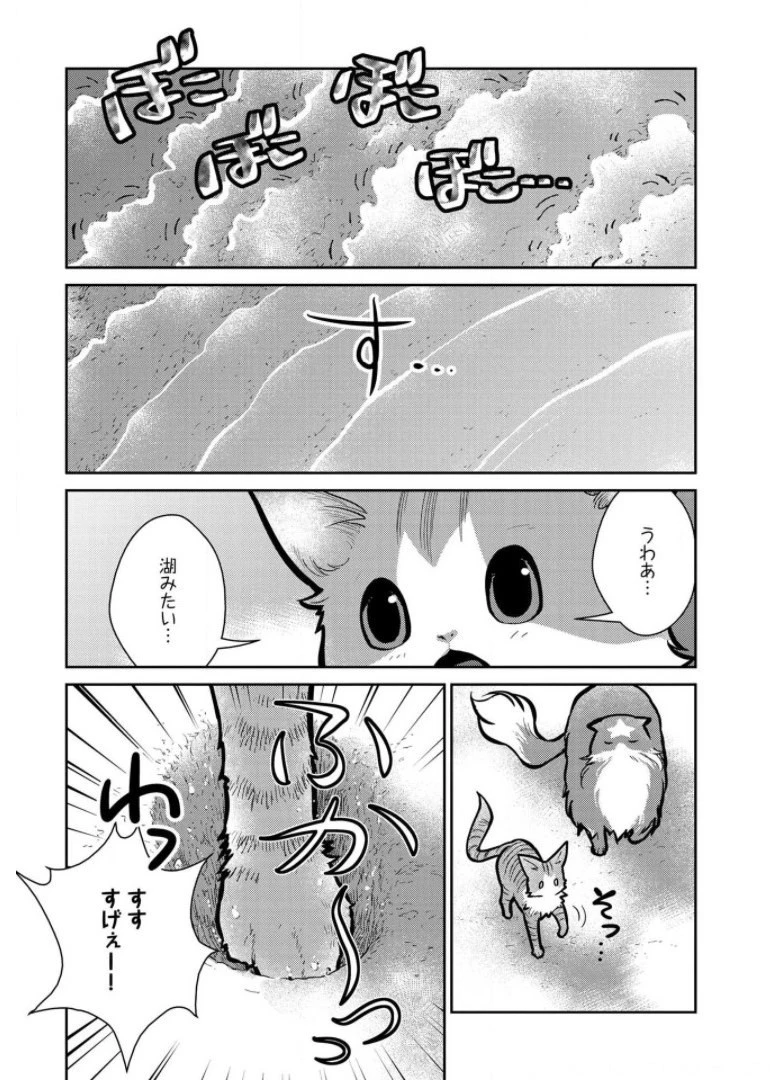 猫と竜 第9話 - 17