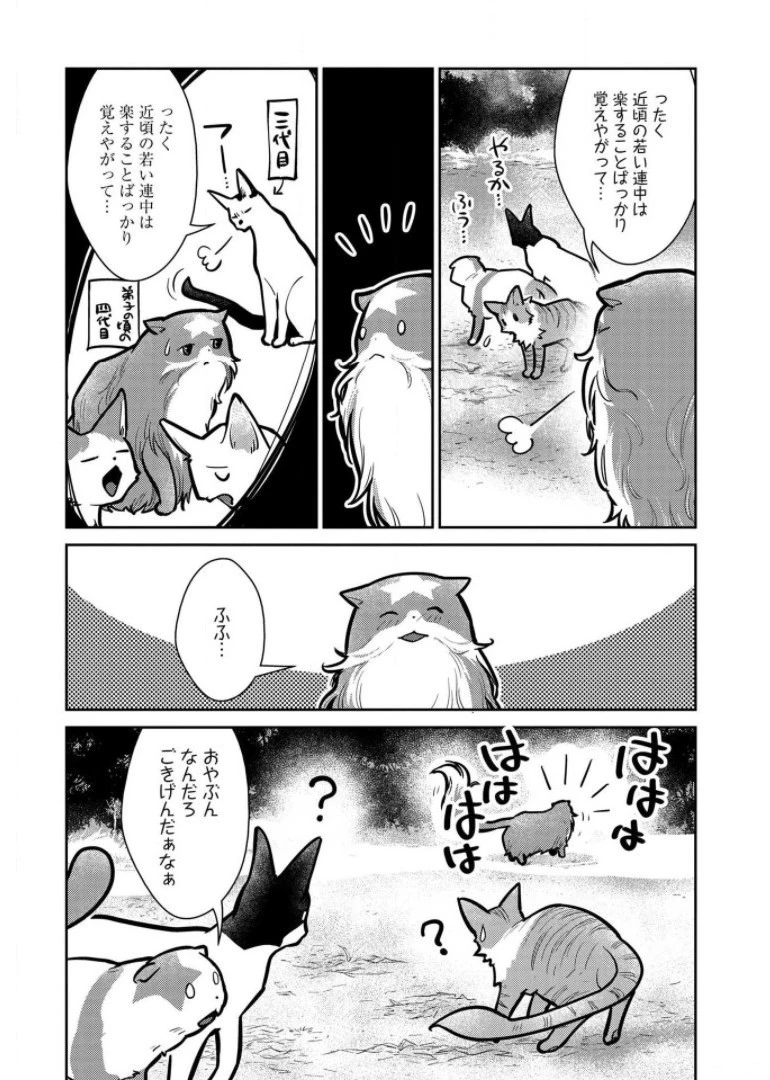 猫と竜 第9話 - 19