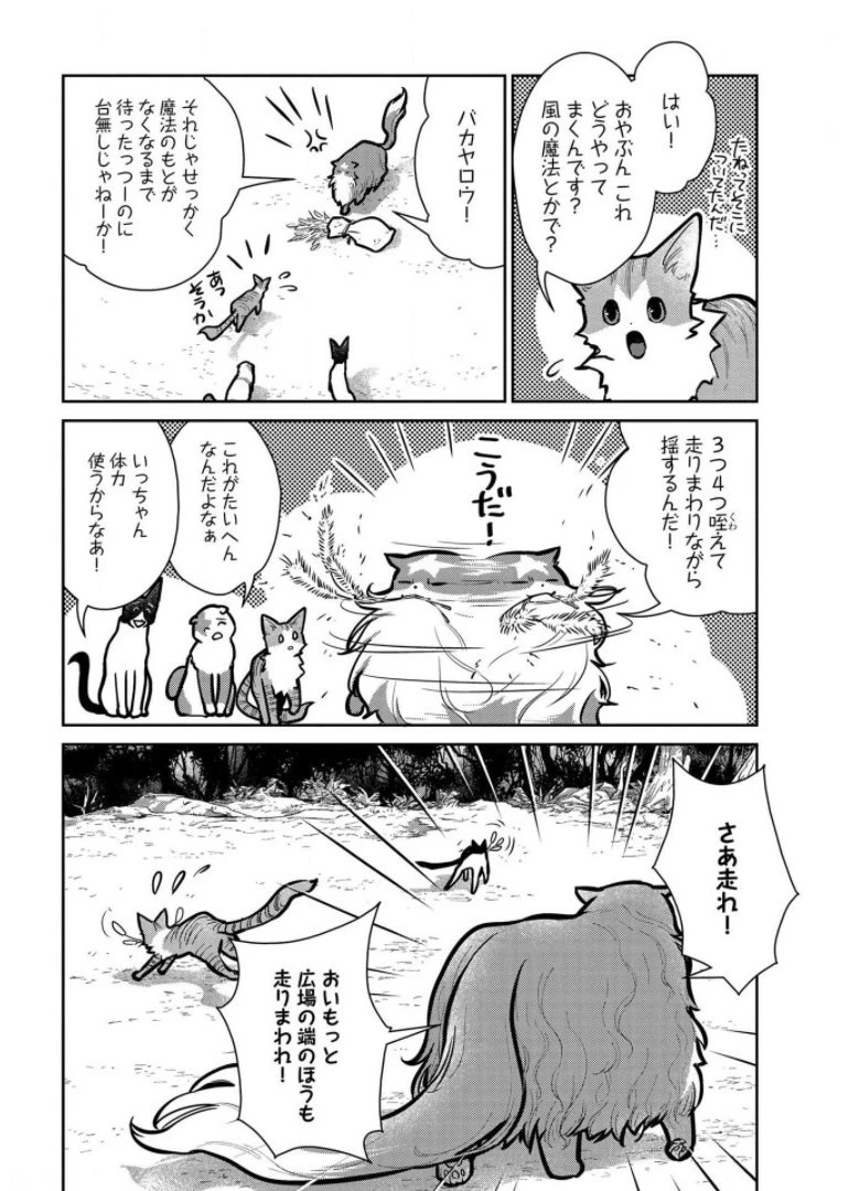 猫と竜 第9話 - 22