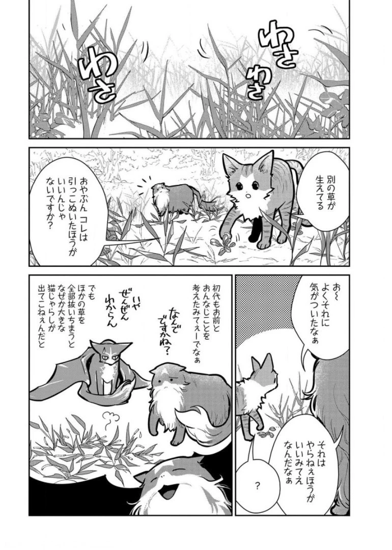 猫と竜 第9話 - 24