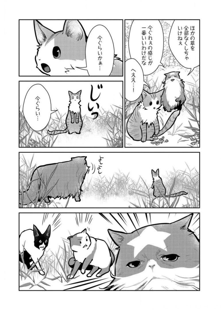 猫と竜 第9話 - 25