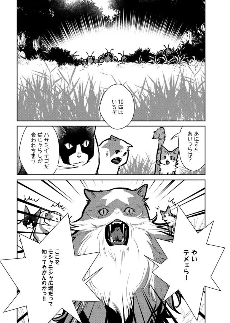 猫と竜 第9話 - 26