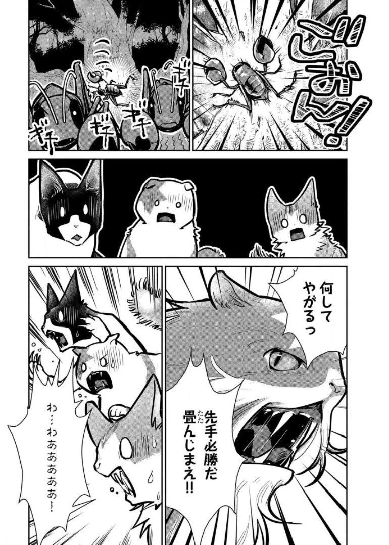 猫と竜 第9話 - 28