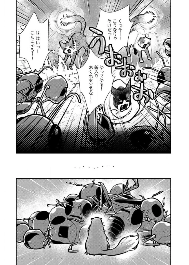 猫と竜 第9話 - 29