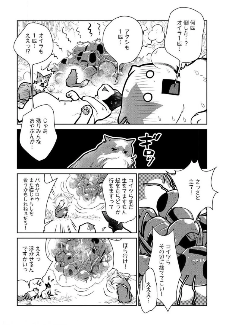 猫と竜 第9話 - 30