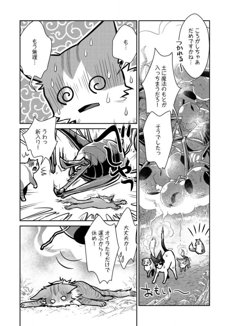 猫と竜 第9話 - 31