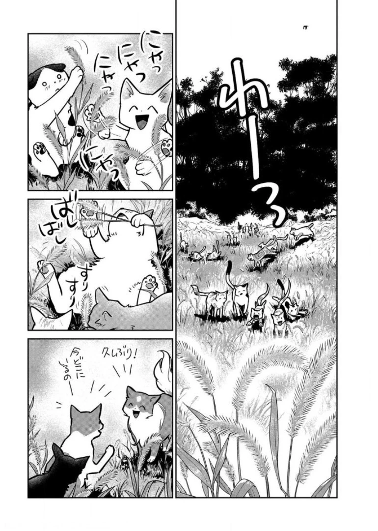 猫と竜 第9話 - 34