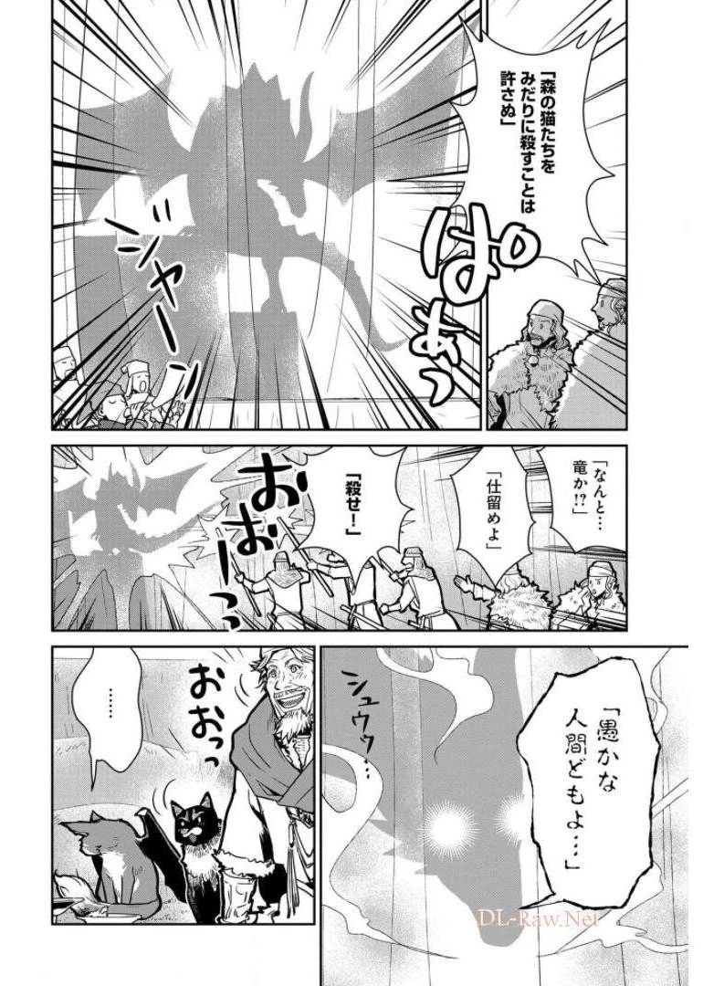 猫と竜 第10話 - 20