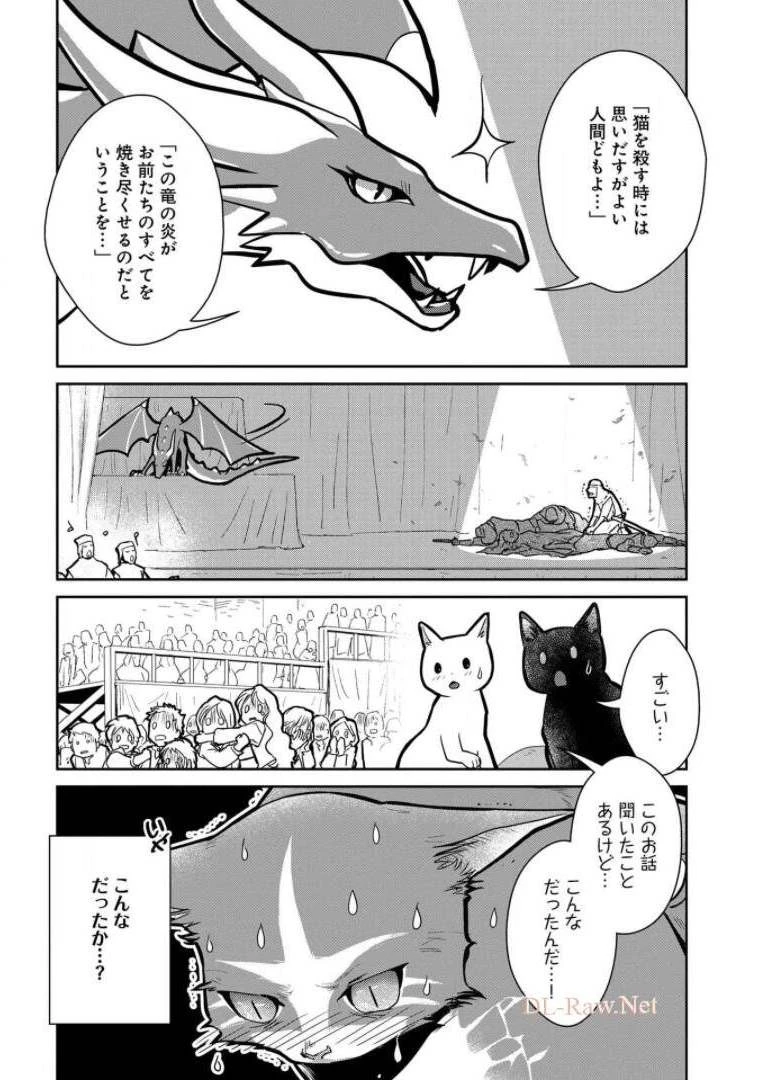猫と竜 第10話 - 22