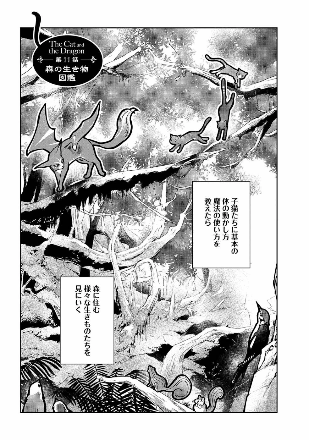 猫と竜 第11話 - 1