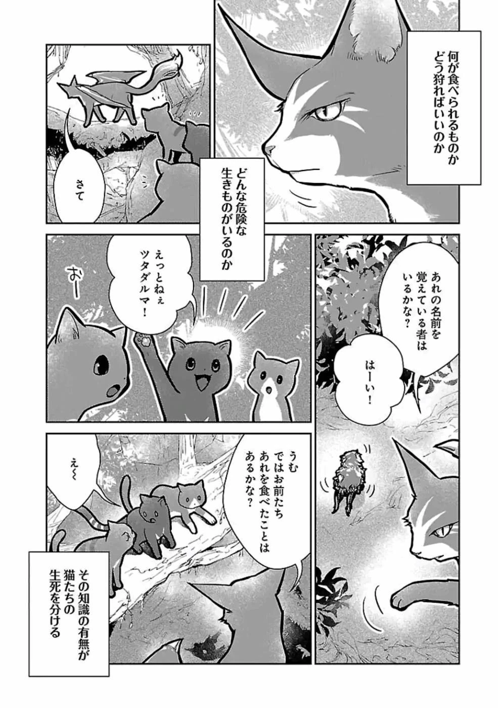 猫と竜 第11話 - 17