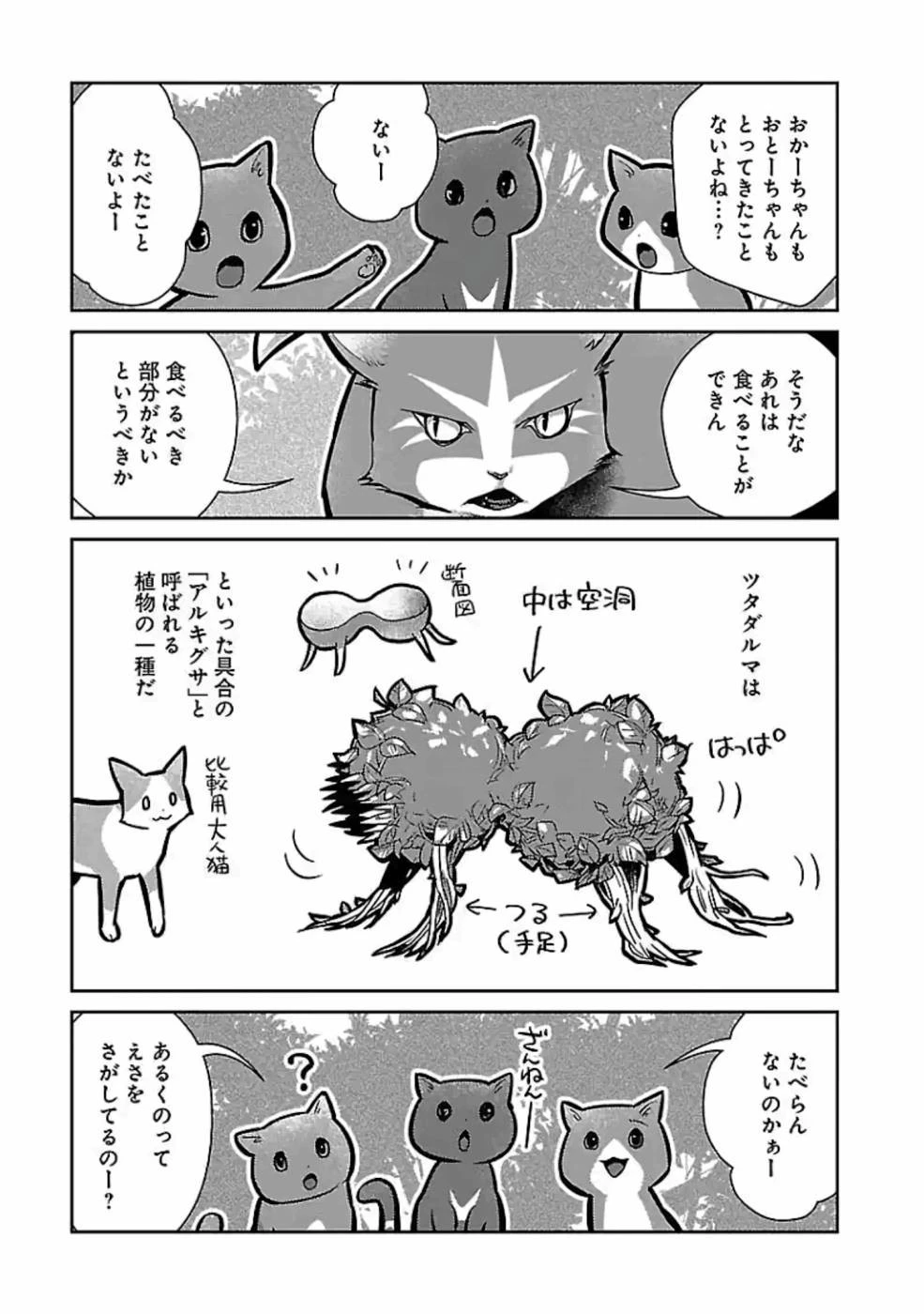 猫と竜 第11話 - 18