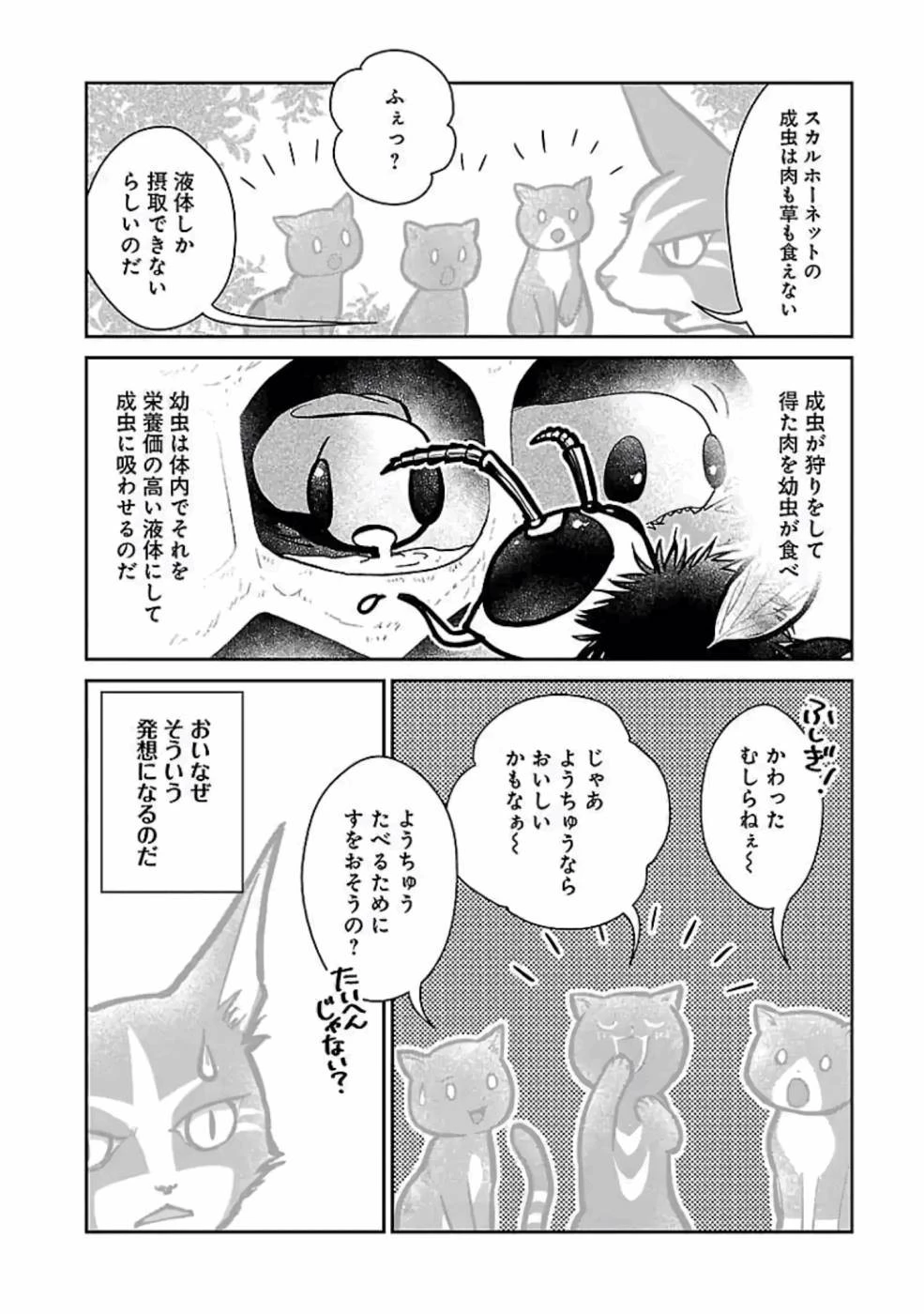 猫と竜 第11話 - 37