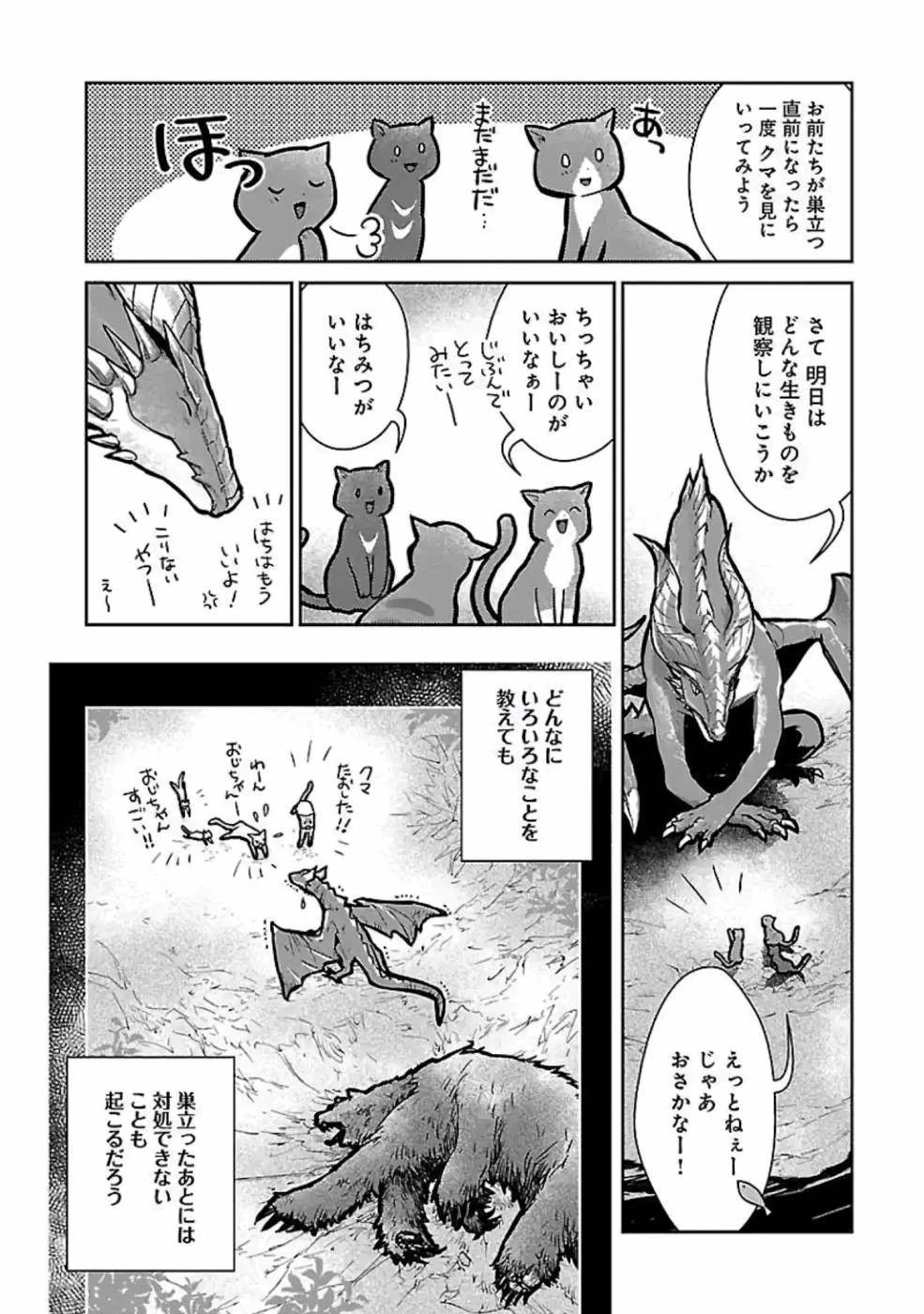 猫と竜 第11話 - 47