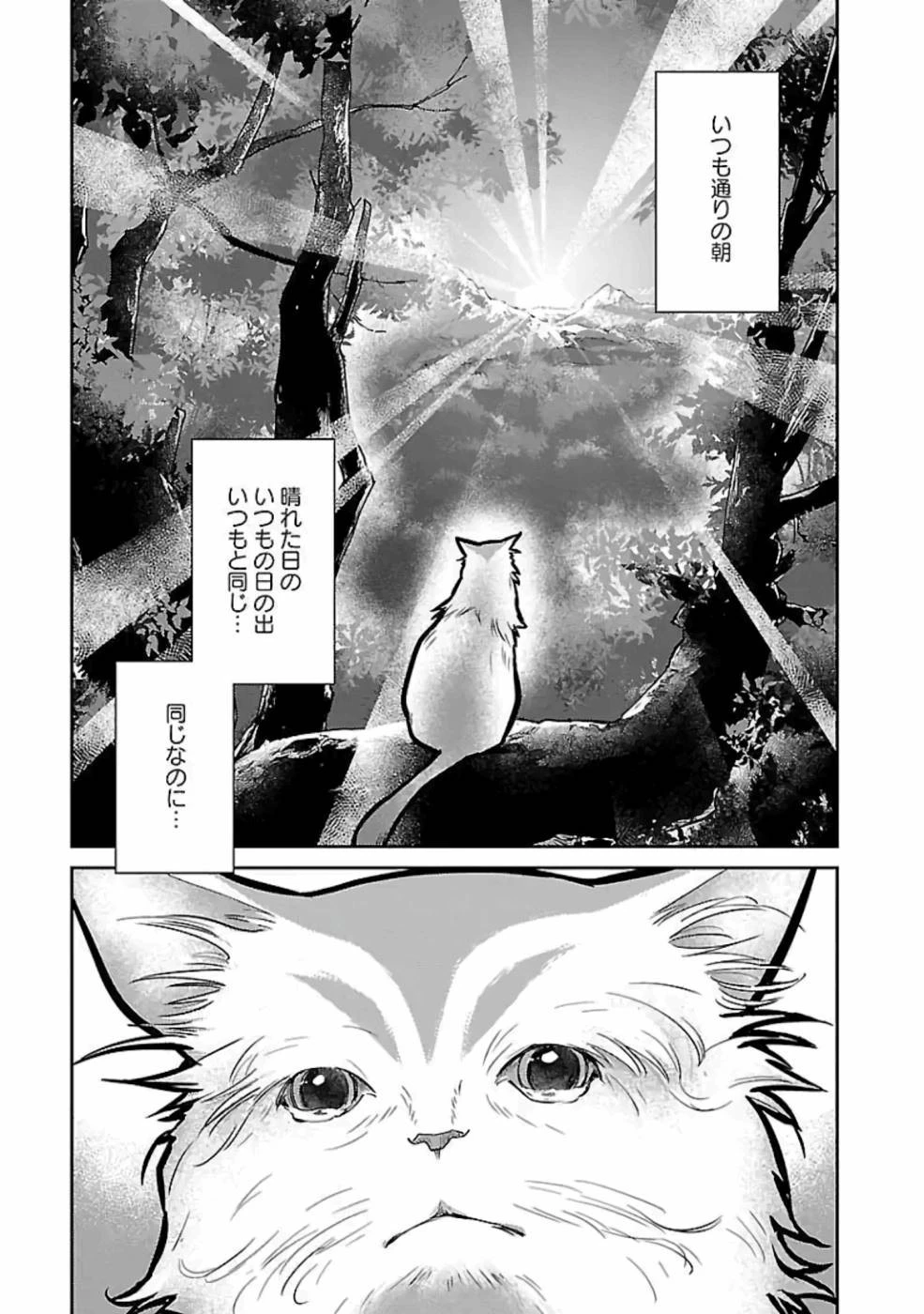猫と竜 第15話 - 1