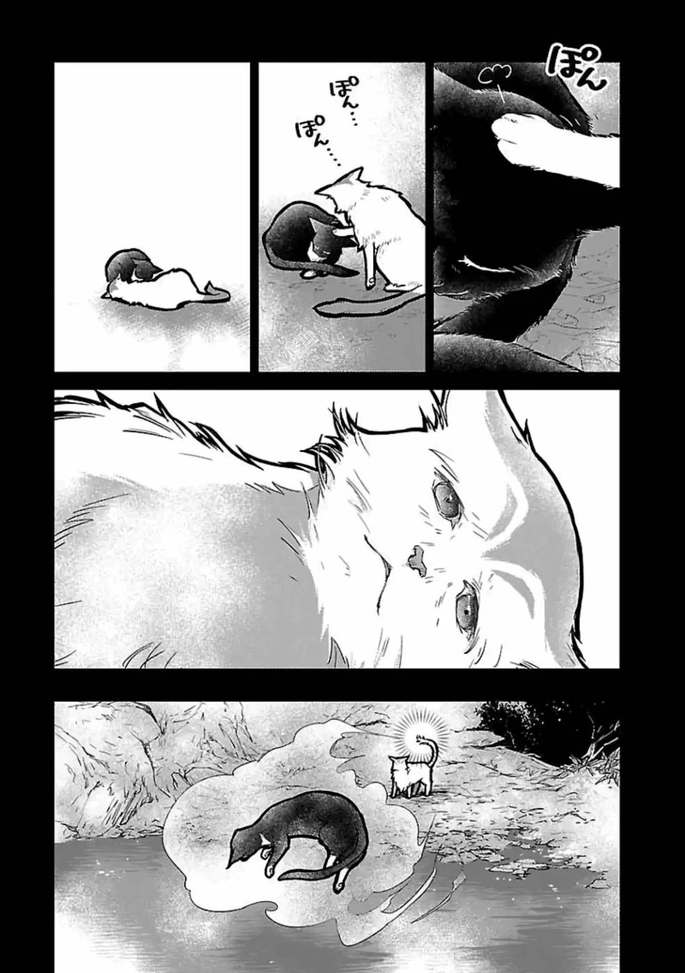 猫と竜 第15話 - 29