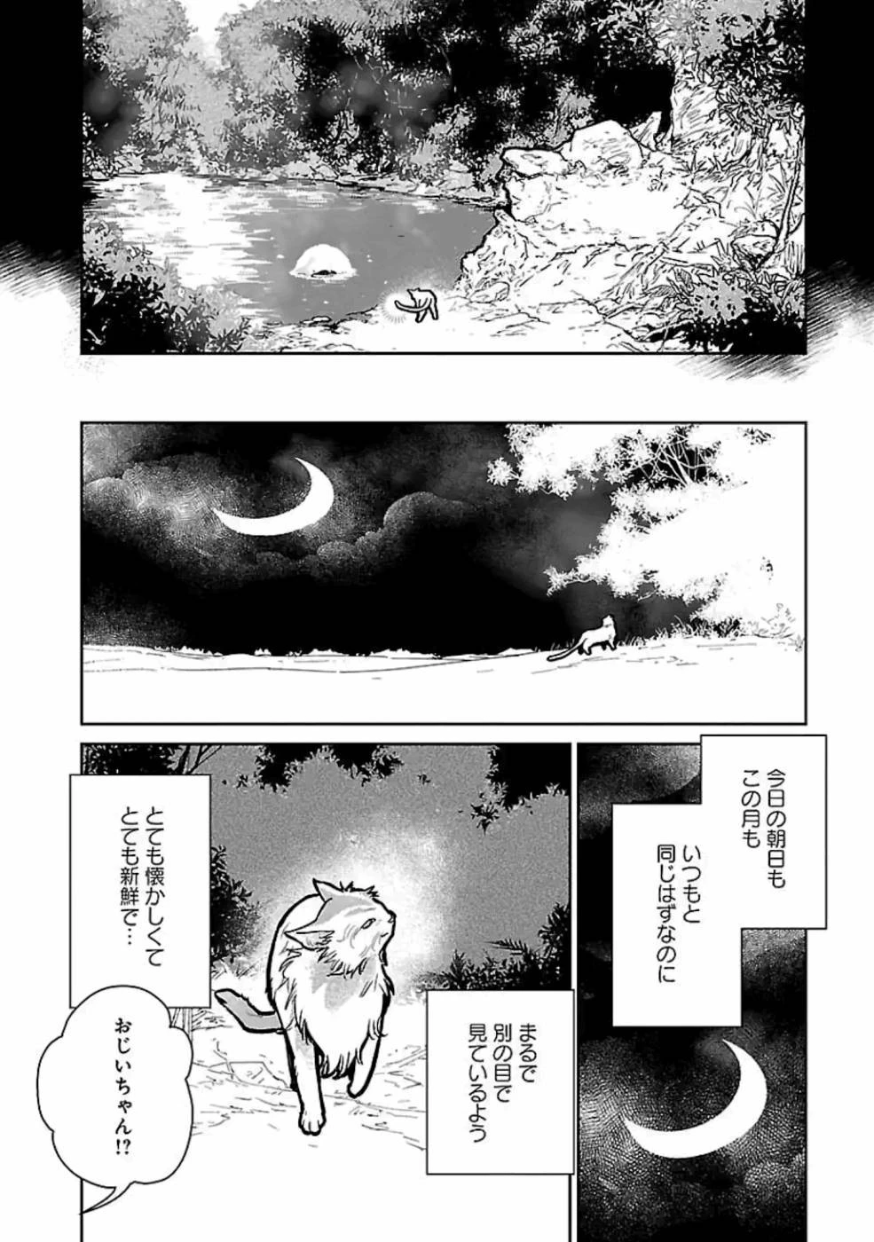 猫と竜 第15話 - 30