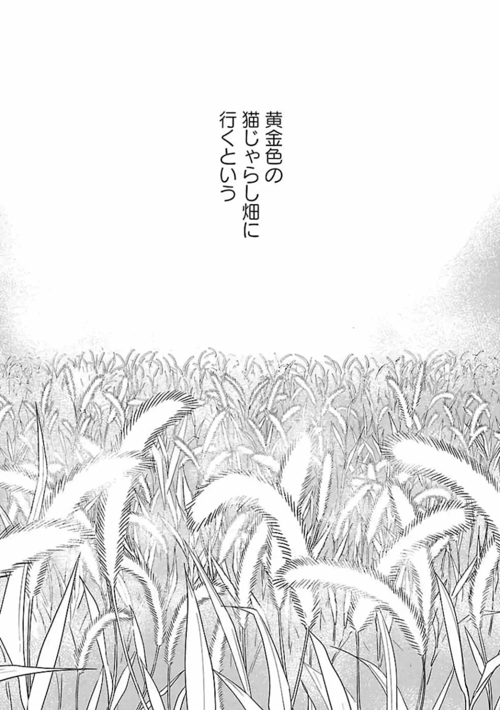 猫と竜 第15話 - 35