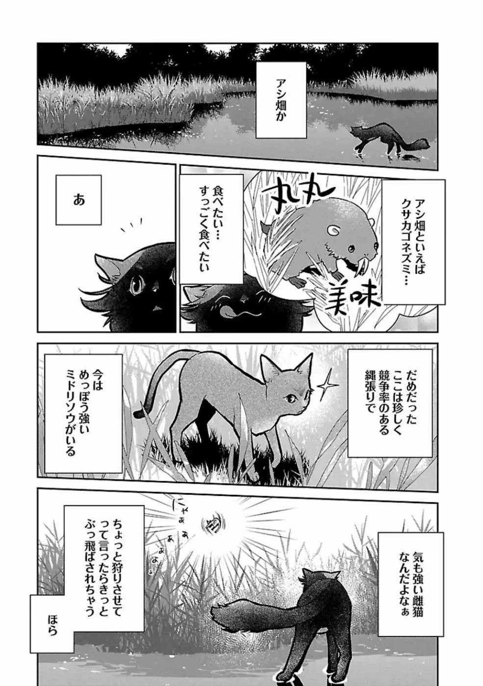 猫と竜 第17話 - 9