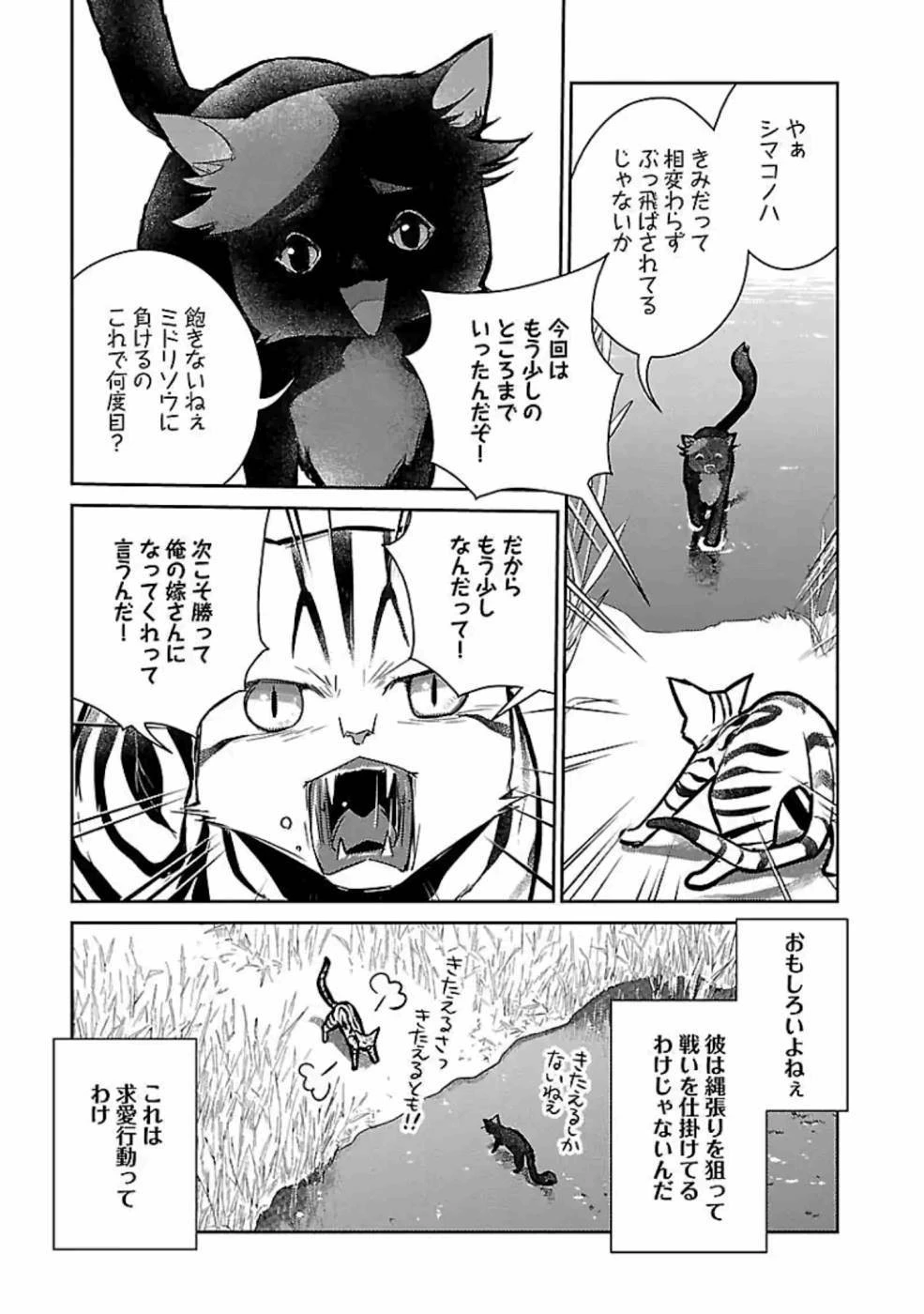 猫と竜 第17話 - 11