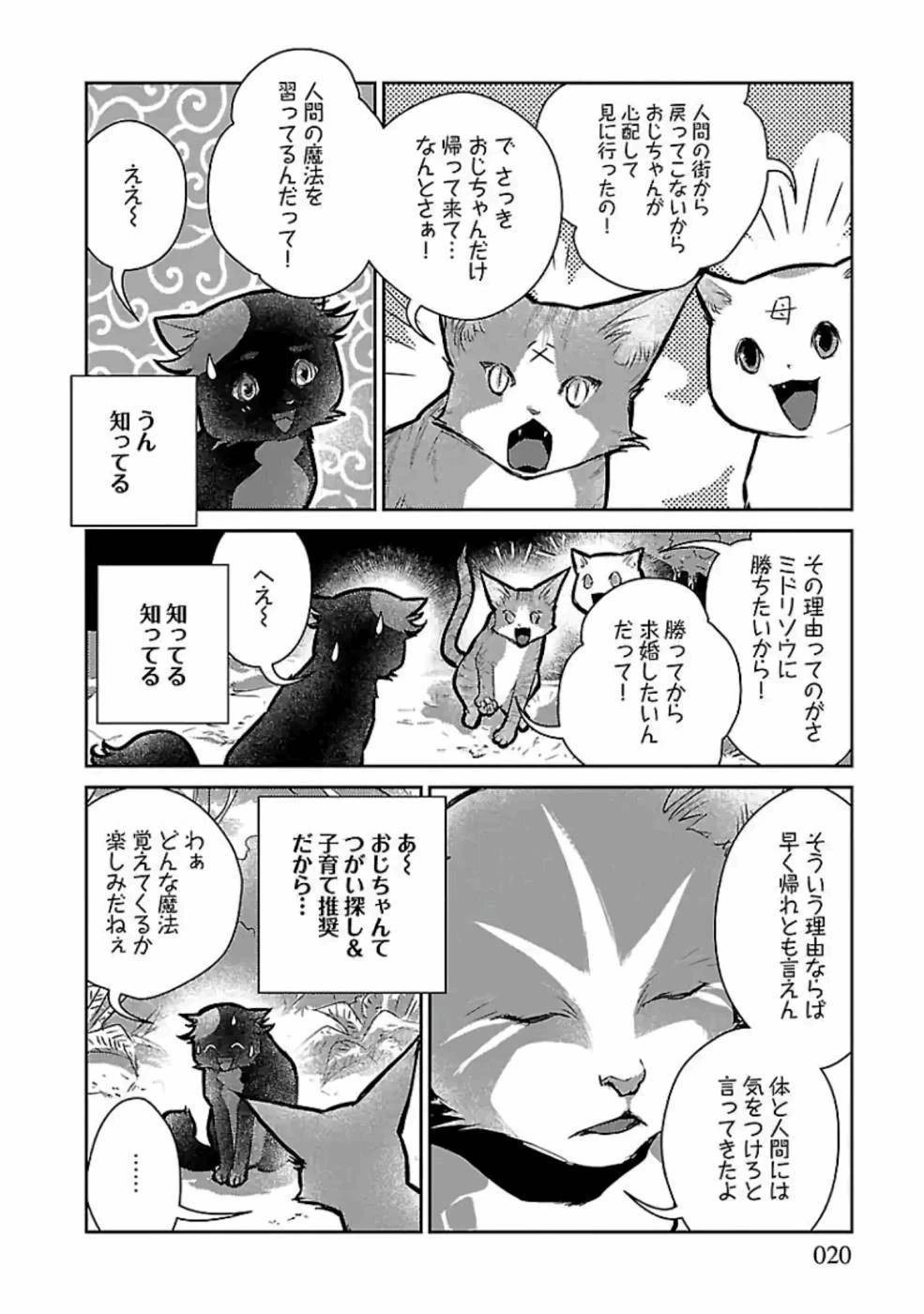 猫と竜 第17話 - 20