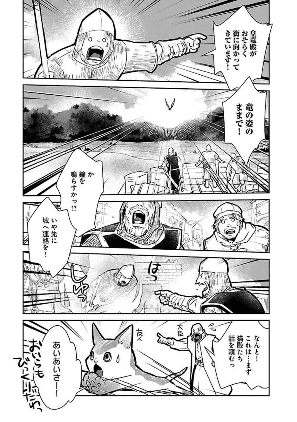 猫と竜 第18話 - 27