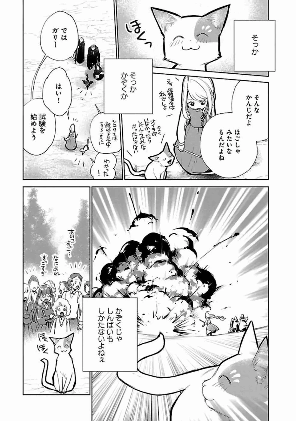 猫と竜 第21話 - 29