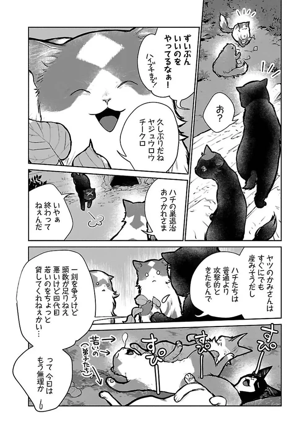 猫と竜 第23話 - 10