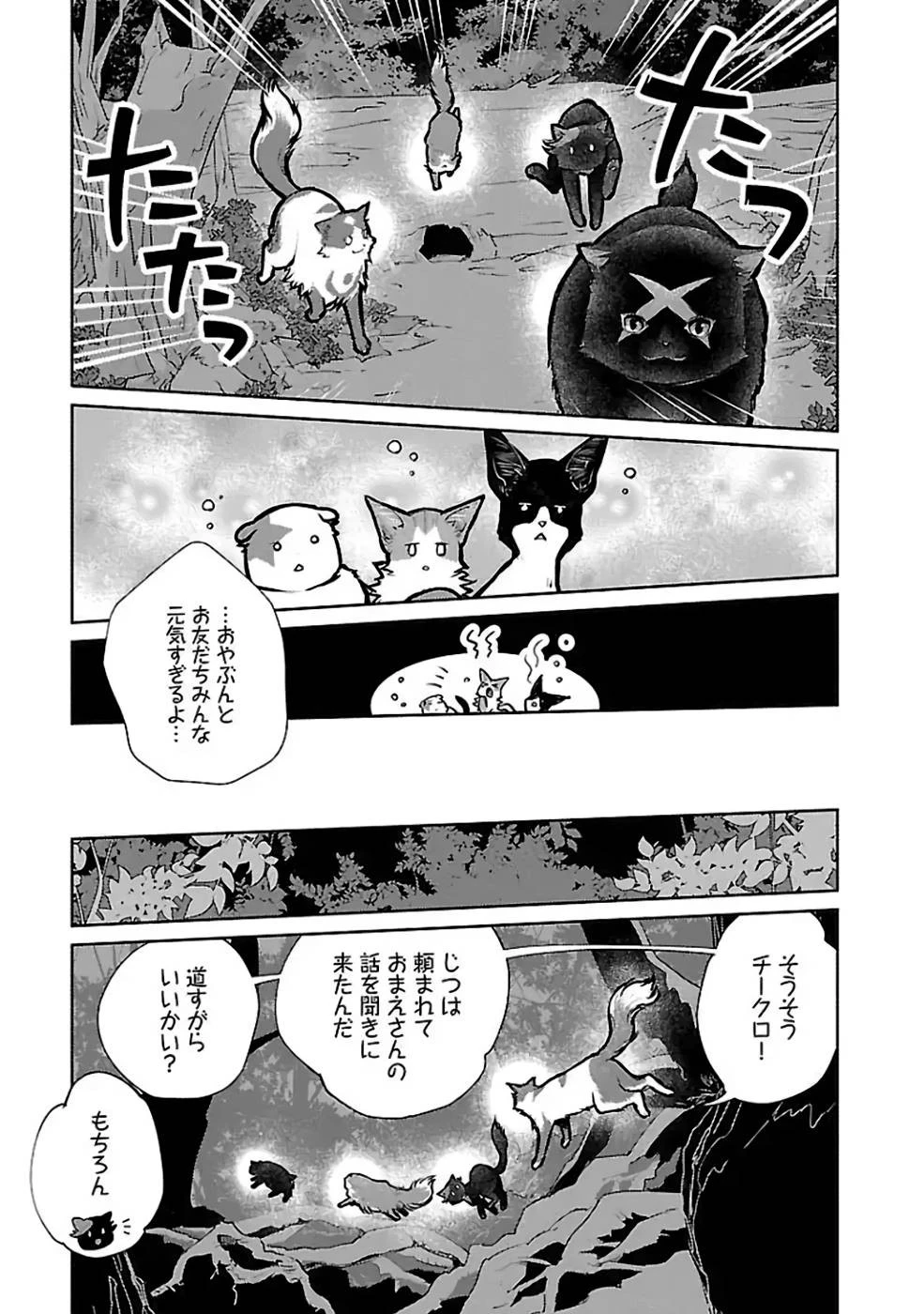 猫と竜 第23話 - 13