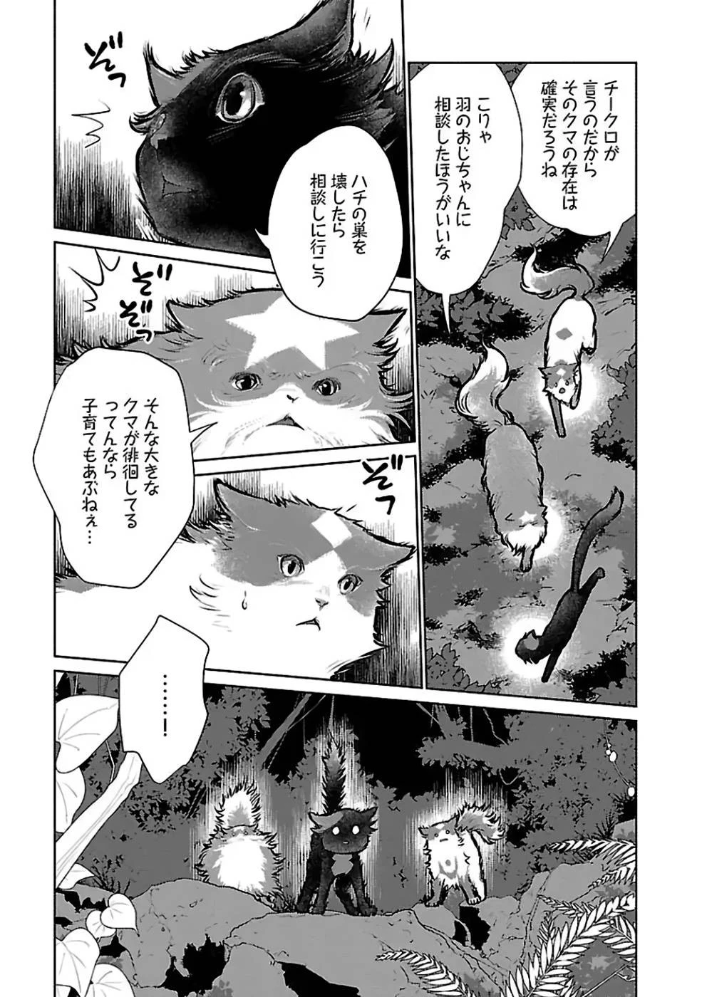 猫と竜 第23話 - 17