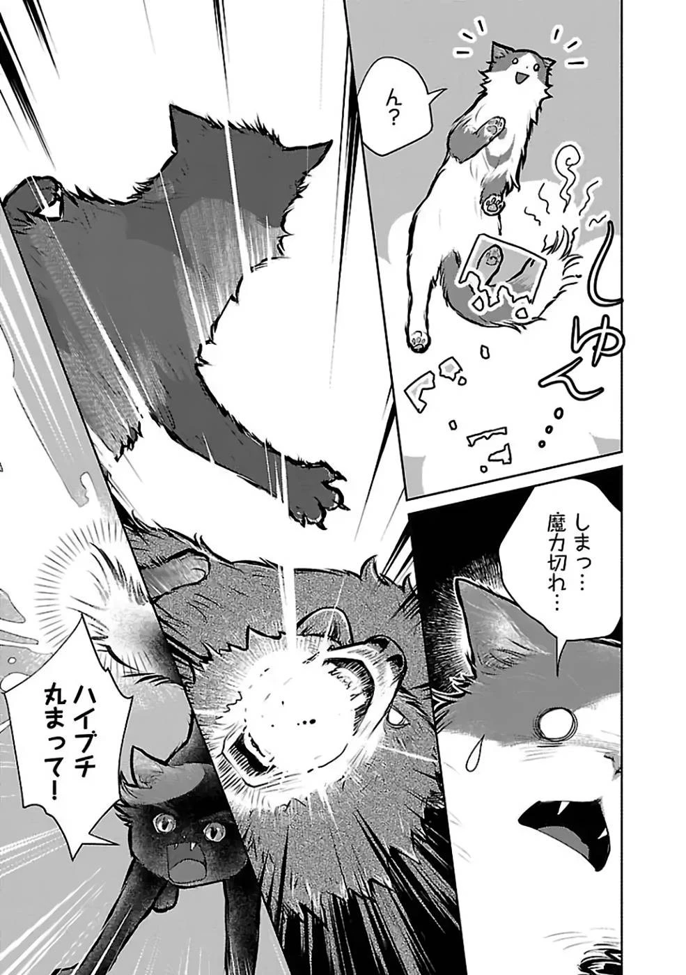 猫と竜 第23話 - 27