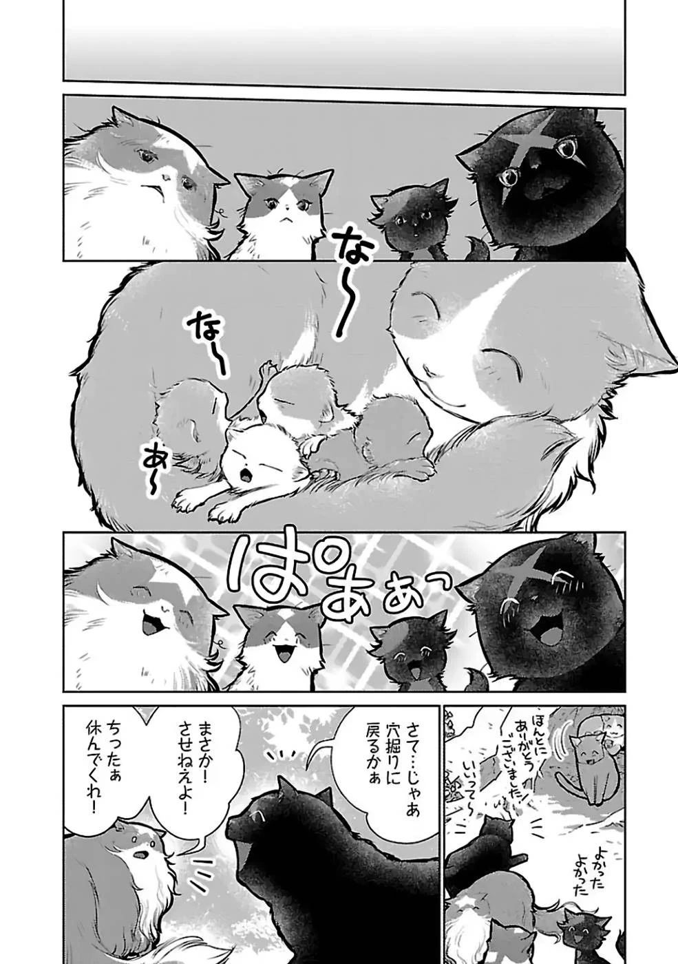 猫と竜 第23話 - 32