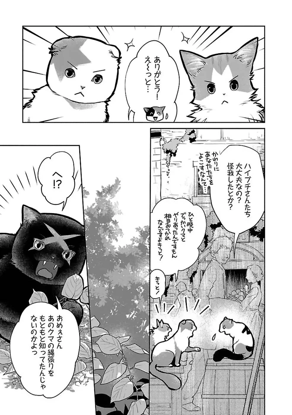 猫と竜 第23話 - 35