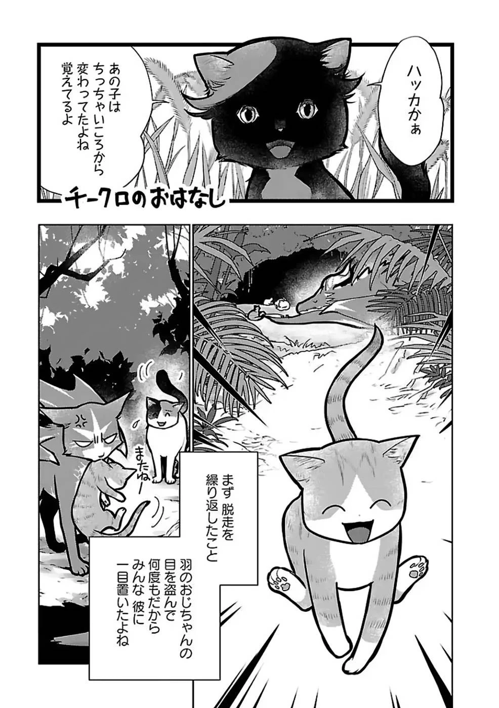 猫と竜 第27話 - 1