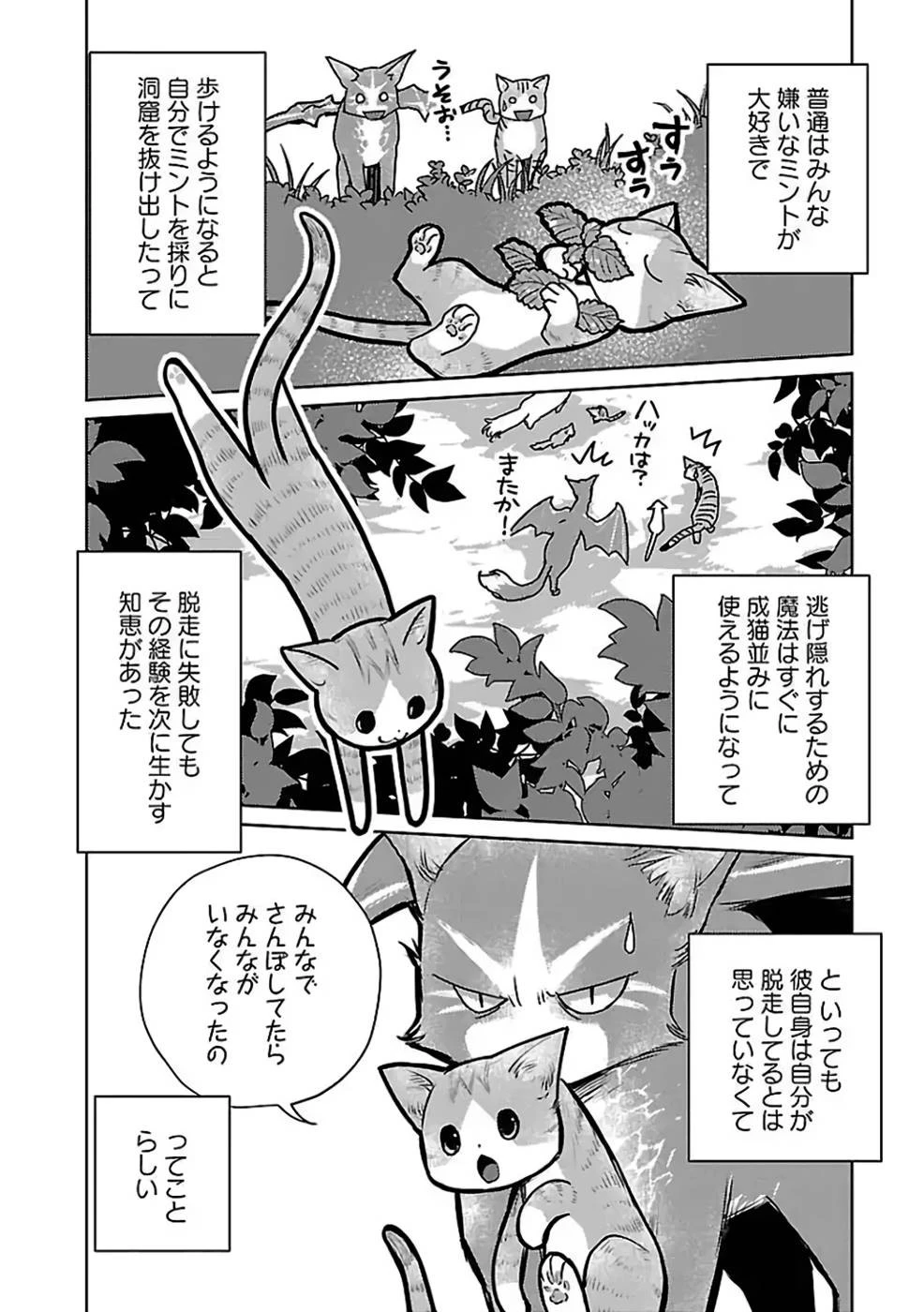 猫と竜 第27話 - 2