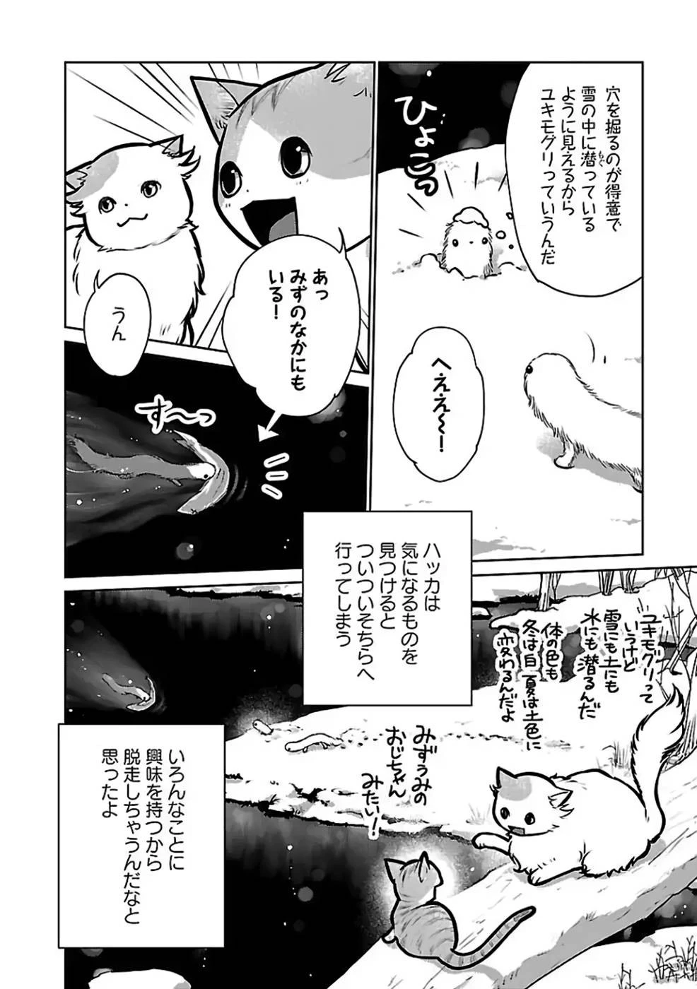 猫と竜 第27話 - 6