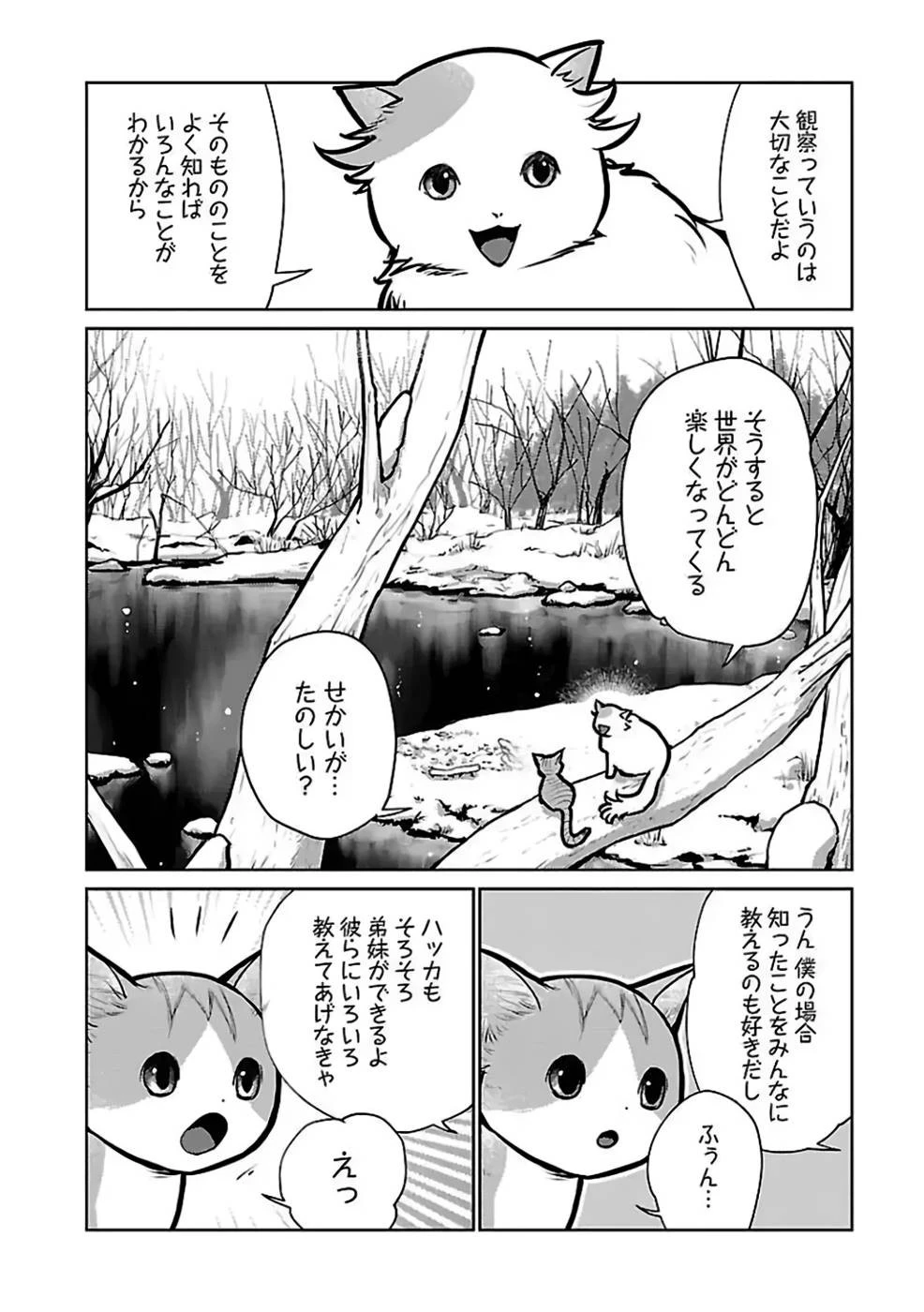 猫と竜 第27話 - 8