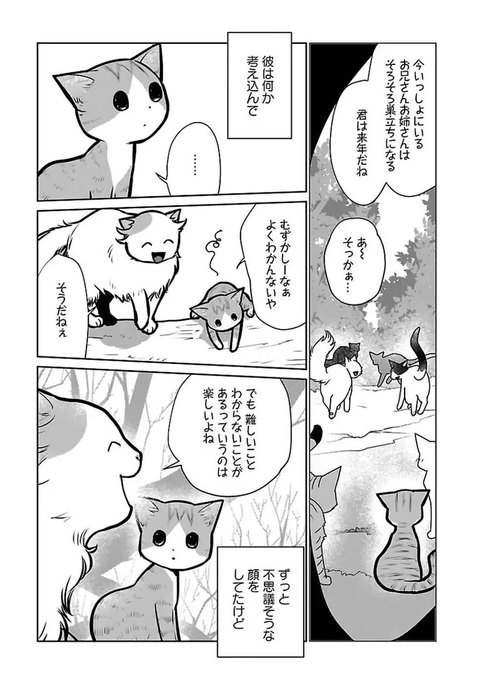 猫と竜 第27話 - 9