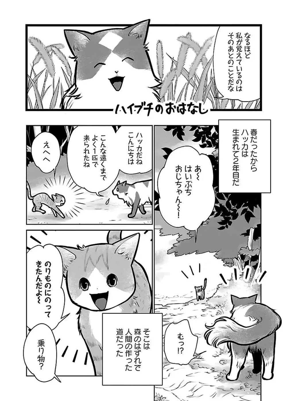 猫と竜 第27話 - 12