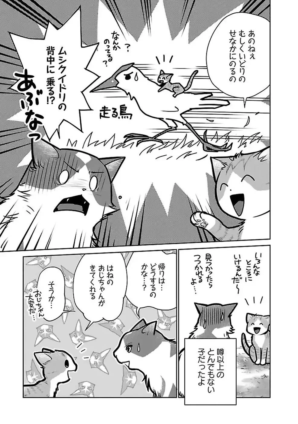 猫と竜 第27話 - 13