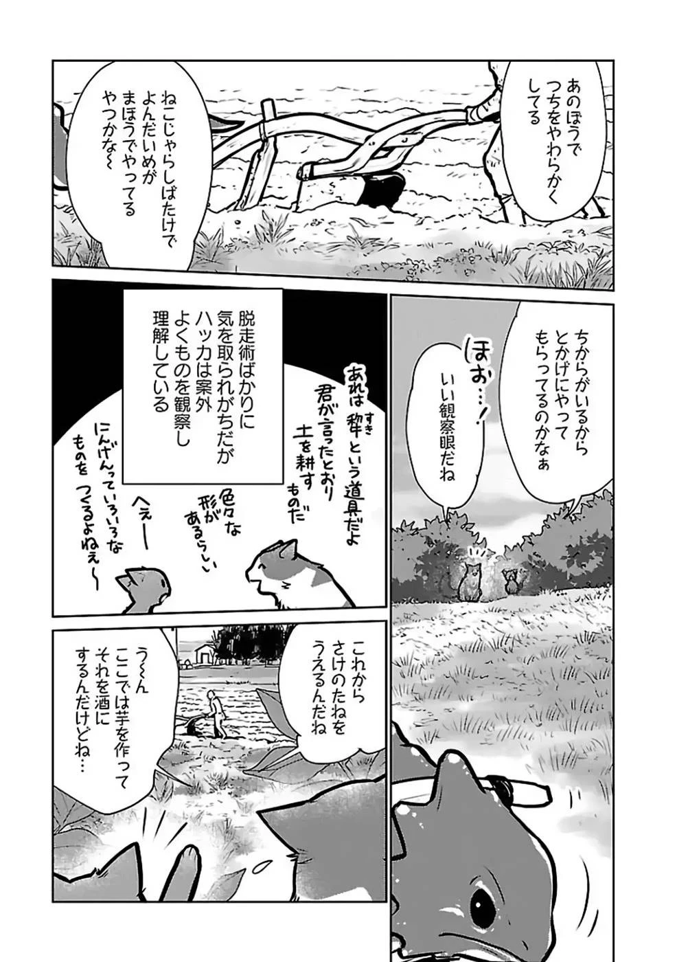 猫と竜 第27話 - 17