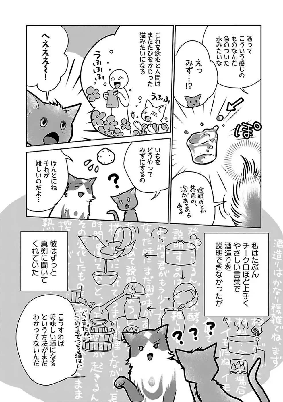 猫と竜 第27話 - 18