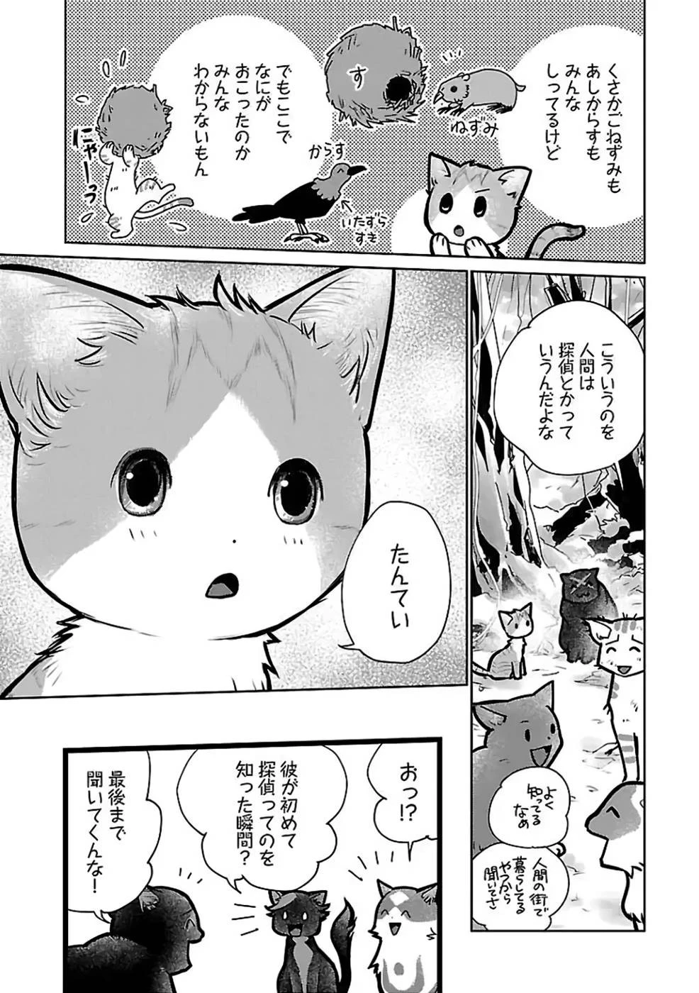 猫と竜 第27話 - 34