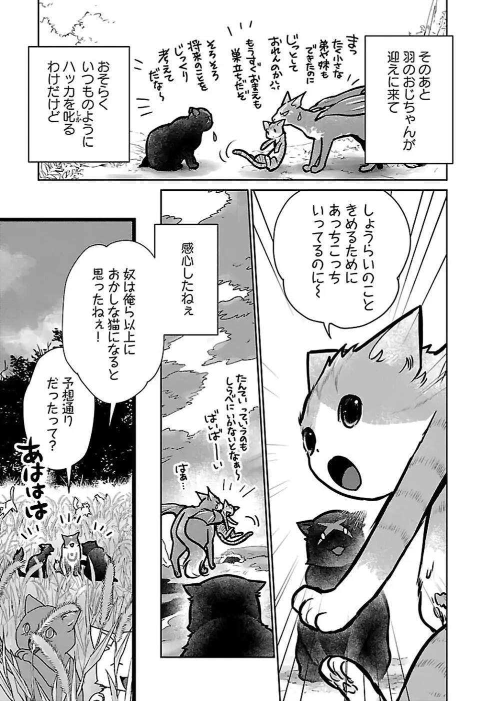 猫と竜 第27話 - 35