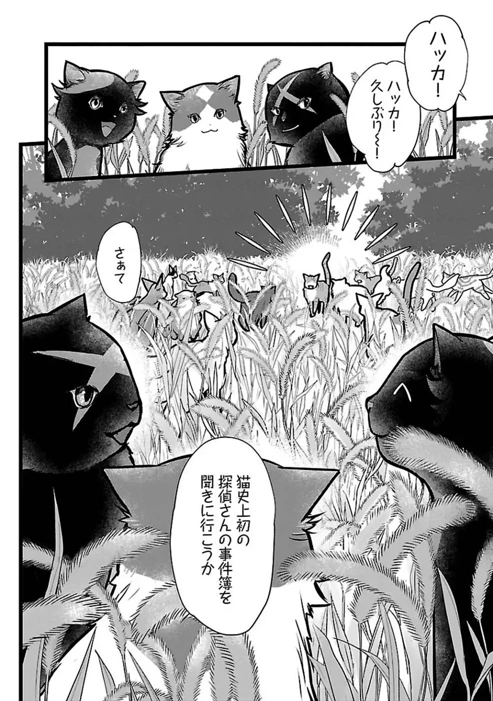 猫と竜 第27話 - 36