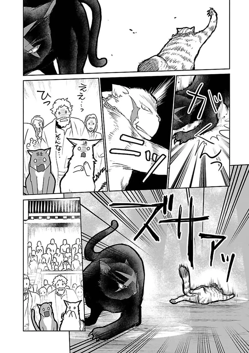 猫と竜 第28話 - 32