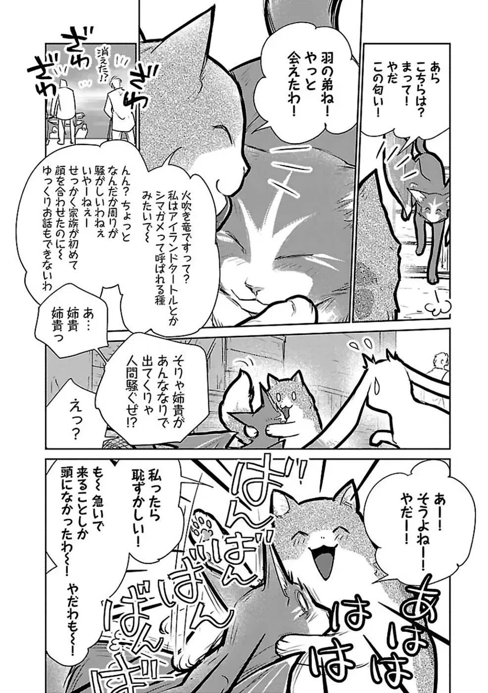 猫と竜 第29話 - 24